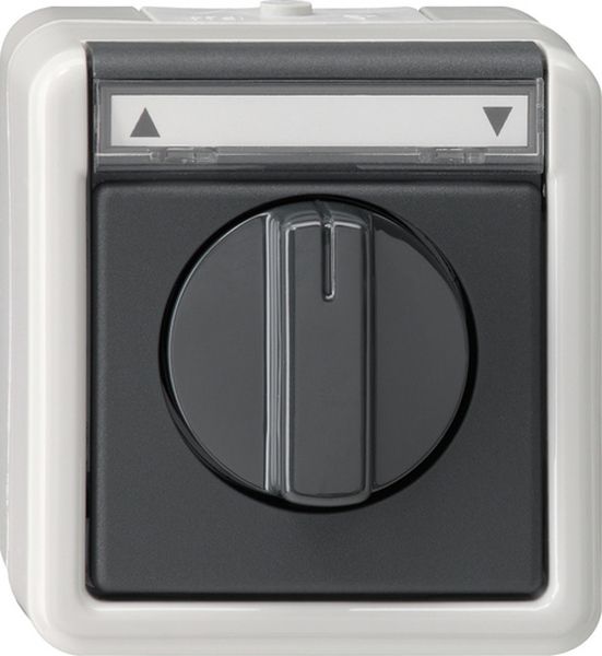 Gira 015430 Jalousie 1-p BSF WG AP Grau