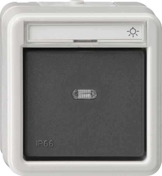 Gira 015631 Wipptaster Wechsler BSF WD AP Grau