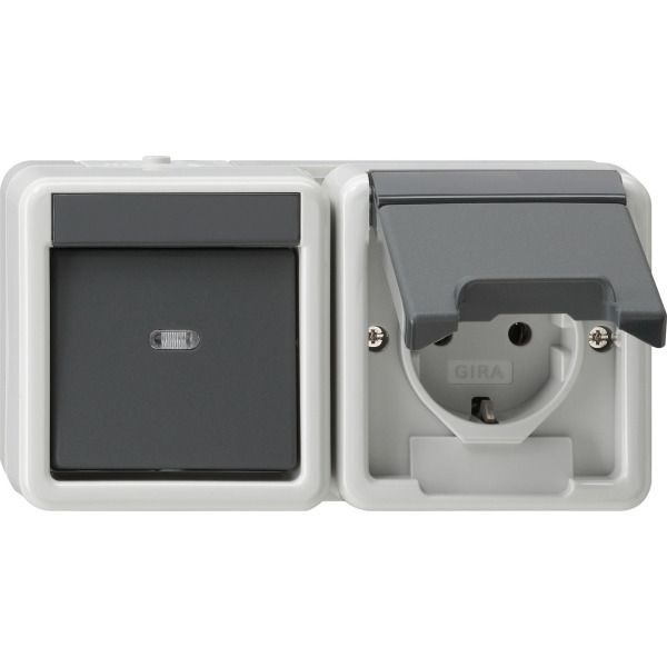 Gira 017730 Kombination Wippschalter Schuko-Steckdose 16A 250V waagerecht mit Klappdeckel Universal-Aus-Wechselschalter Grau