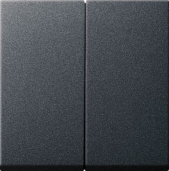 Gira 026628 Wippe 2-fach komplett mit Dichtungsset IP44 Standard 55 E2 Anthrazit