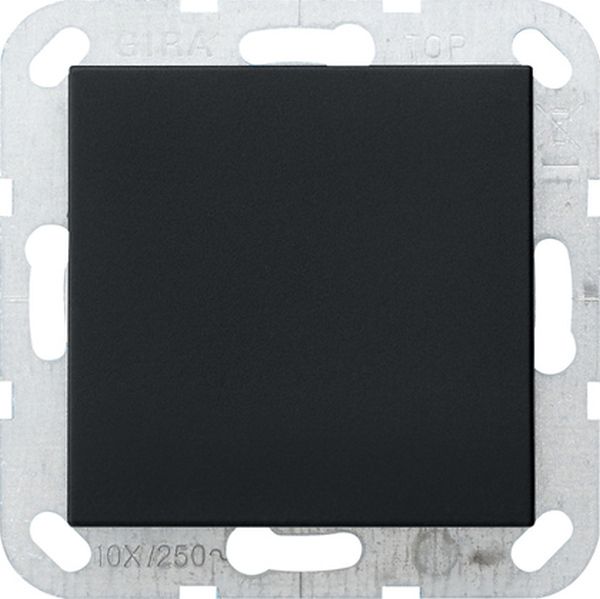 Gira 0268005 Blindabd. Tragring System 55 Schwarz m