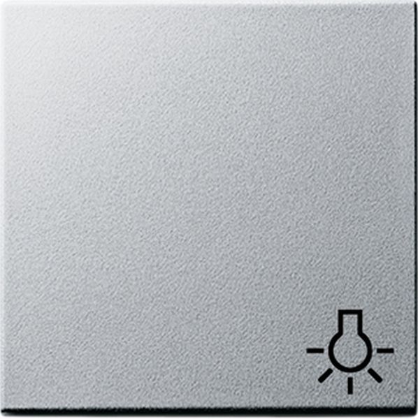 Gira 028526 Wippe mit Symbol Licht Farbe Alu