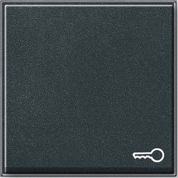 Gira 028767 Wippe mit Symbol Tür Anthrazit