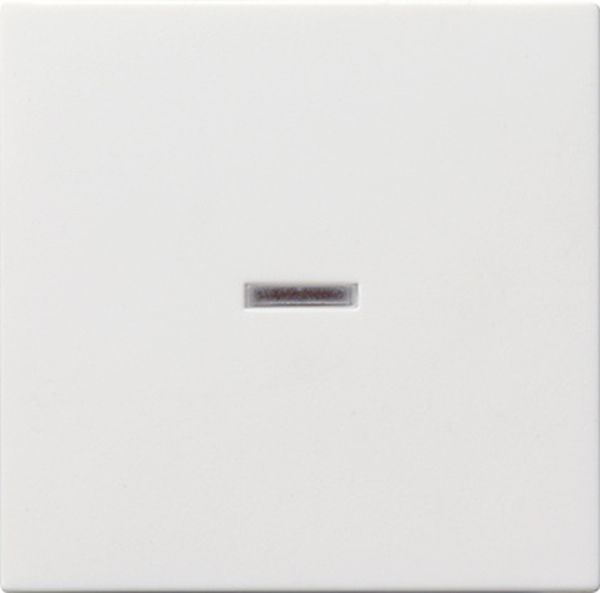 Gira 029027 Wippe mit Kontrollfenster Reinweiß seidenmatt