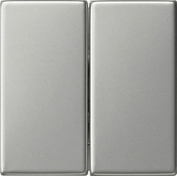 Gira 0295600 Wippe 2-fach Edelstahl