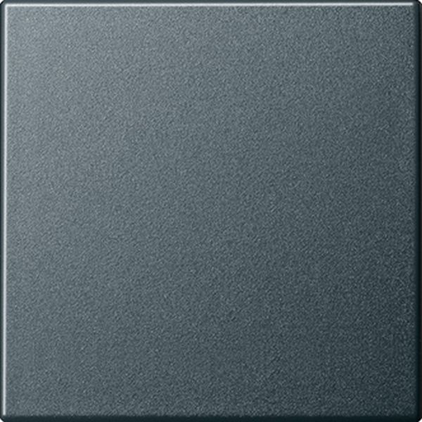 Gira 029628 Wippe Anthrazit