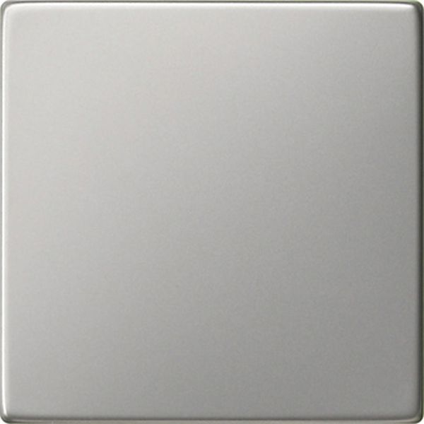 Gira 0296600 Wippe Edelstahl