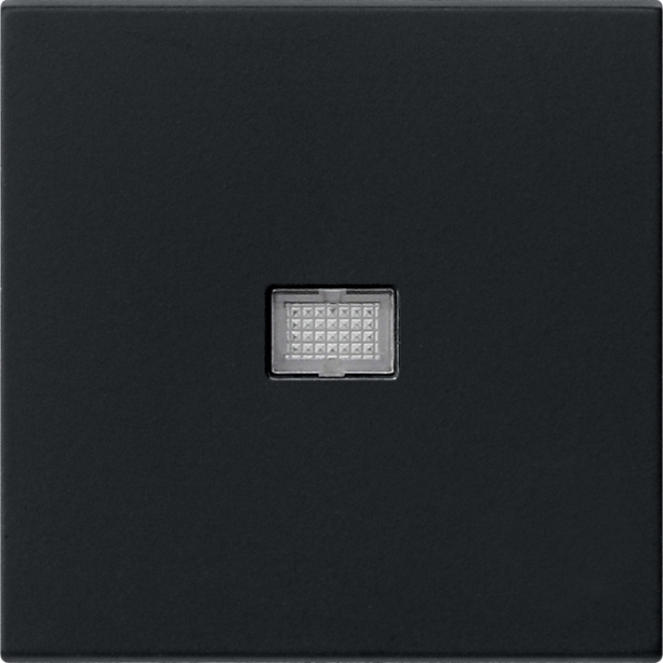 Gira 0298005 Wippe mit großem Kontrollfenster Schwarz matt