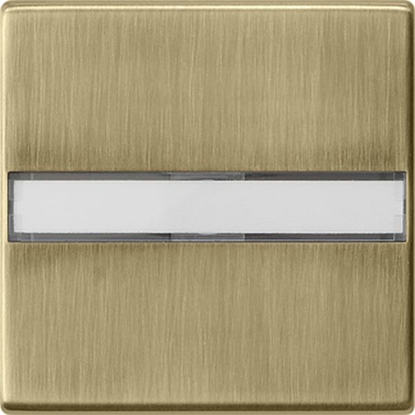 Gira 0299603 Wippe mit Beschriftungsfeld Bronze