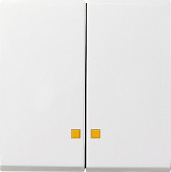 **Gira 063103 Wippe 2-fach mit Kontrollfenster für Wipp-Kontrollschalter Reinweiß glänzend