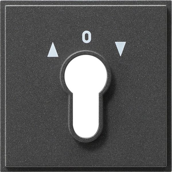 Gira 066467 Abd. Schlüsselschalter/-taster Gira TX_44 (WG UP) Anthrazit