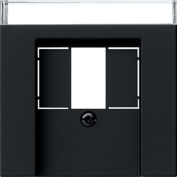 Gira 0876005 Abd. BSF TAE USB System 55 Schwarz m