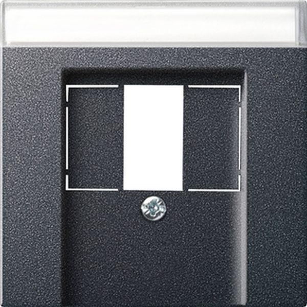 Gira 087628 Abd. BSF TAE USB System 55 Anthrazit