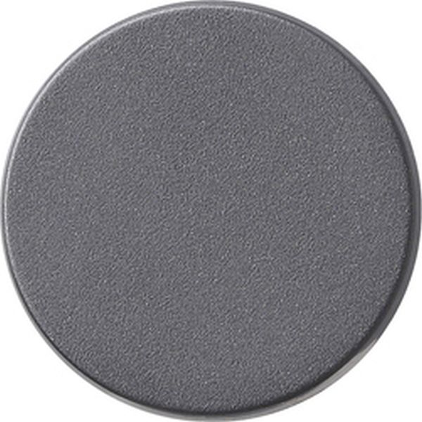 Gira 091028 Dimmerknopf System 55 Anthrazit