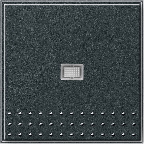 Gira 091467 Wippe für Tast-Kontrollschalter Anthrazit