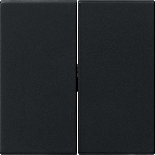 Gira 0915005 Wippe 2-fach für Tastschalter Schwarz matt