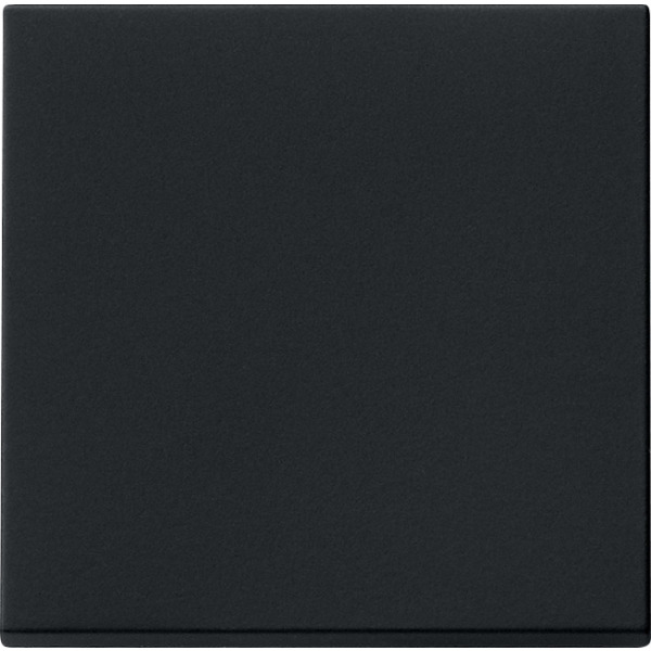 Gira 0916005 Wippe für Tastschalter Schwarz matt