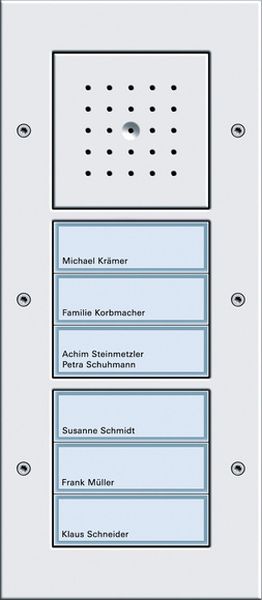 Gira 126866 Türstation AP 6-fach Reinweiß