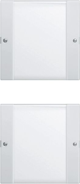 Gira 213203 Wippenset 2f (1+1) BSF System 55 Klar/Reinweiß