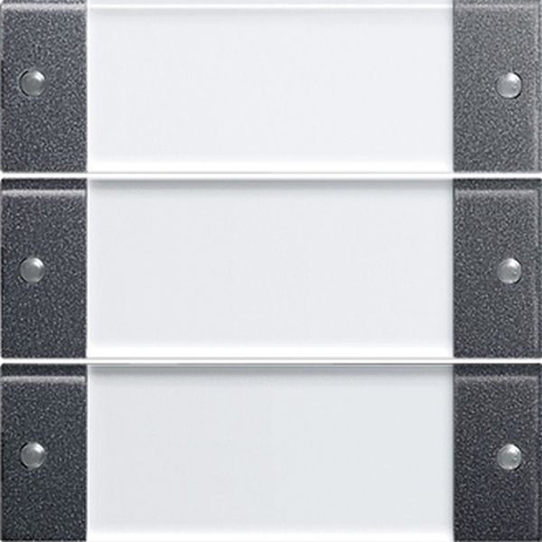 Gira 213328 Wippenset 3f BSF System 55 Klar/Anthrazit