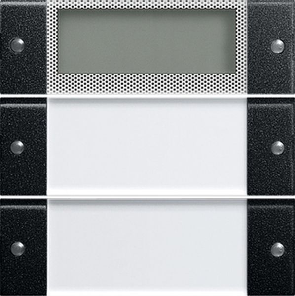 Gira 2142005 Wippenset 2f Plus BSF System 55 Klar/Schwarz m