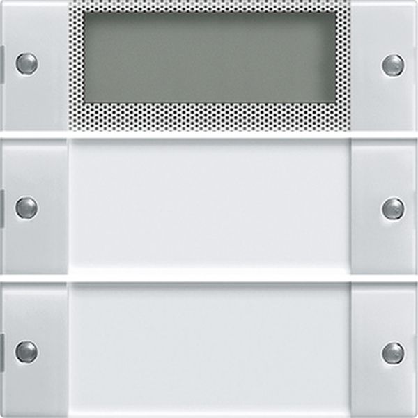Gira 214203 Wippenset 2f Plus BSF System 55 Klar/Reinweiß