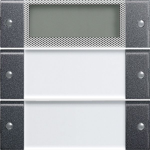 Gira 214228 Wippenset 2f Plus BSF System 55 Klar/Anthrazit