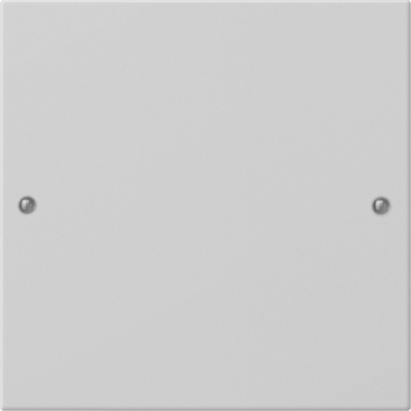 Gira 2181015 Wippenset 1-fach System 55 Grau matt (lackiert)