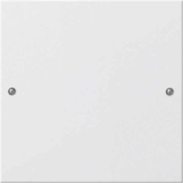 Gira 218103 Wippenset 1f System 55 Reinweiß(lack.)