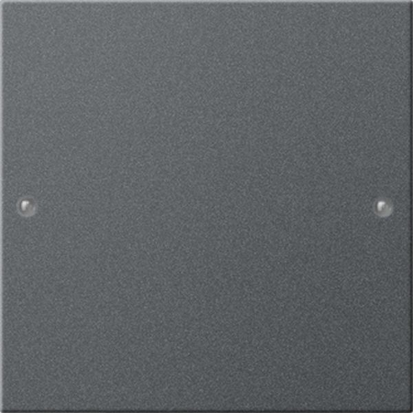 Gira 218128 Wippenset 1f System 55 Anthrazit(lack.)