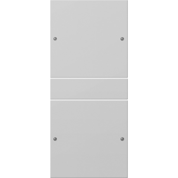 Gira 2182015 Wippenset 2-fach (1+1) System 55 Grau matt (lackiert)