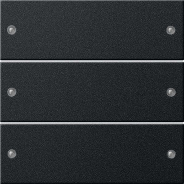 Gira 2183005 Wippenset 3f System 55 Schwarz m(lack.)
