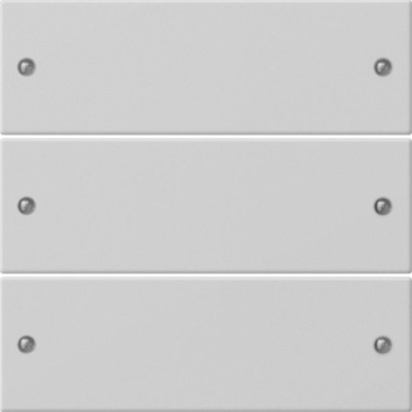 Gira 2183015 Wippenset 3f System 55 Grau m(lack.)