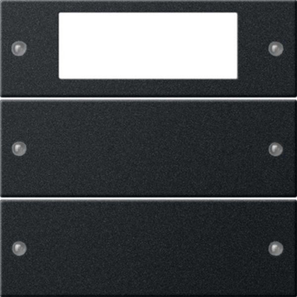 Gira 2192005 Wippenset 2f Plus System 55 Schwarz m(lack.)