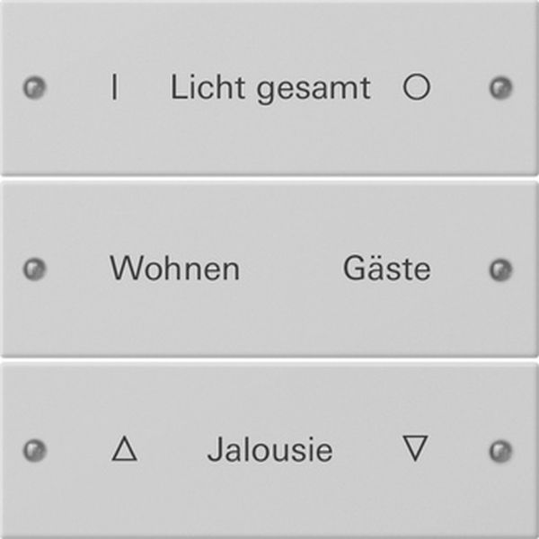 Gira 2203015 Wippenset 3f beschr. System 55 Grau m(lack.)