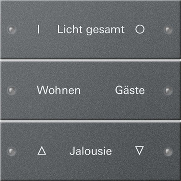 Gira 220328 Wippenset 3f beschr. System 55 Anthrazit(lack.)