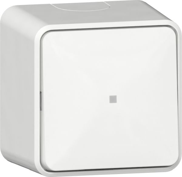 Gira 311613 Wipp-Kontroll AusWe + Montagepl. AP Reinweiß