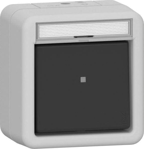 Gira 318630 Wipp-Kontroll 16 AX AusWe BSF WG AP Grau