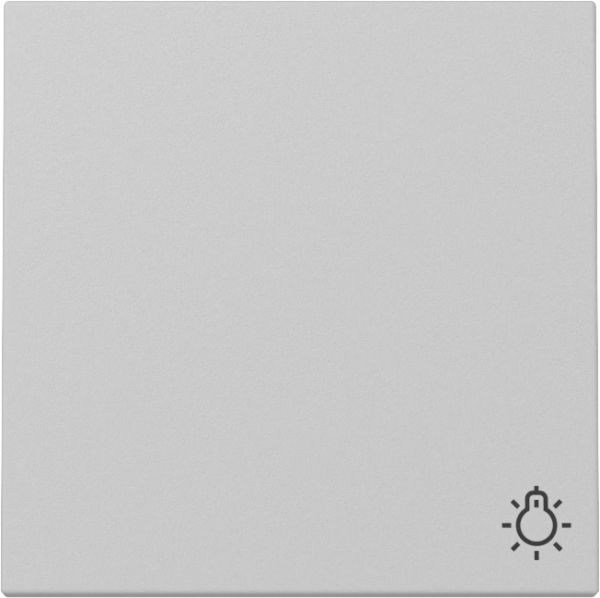 Gira 3285015 Wippe Symb. Licht System 55 Grau m
