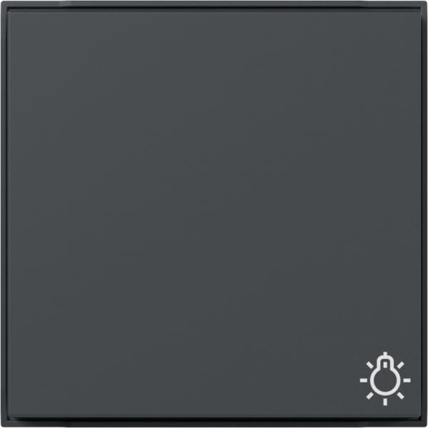 Gira 328567 Wippe Symb. Licht Gira TX_44 (WG UP) Anthrazit