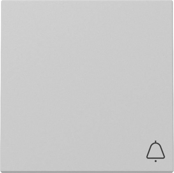 Gira 3286015 Wippe Symb. Klingel System 55 Grau m