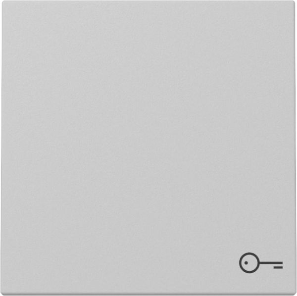 Gira 3287015 Wippe Symb. Tür System 55 Grau m
