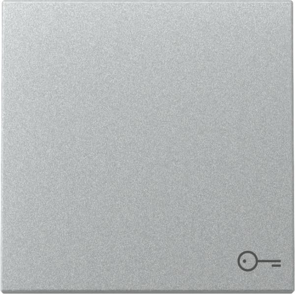 Gira 328726 Wippe Symb. Tür System 55 F Alu