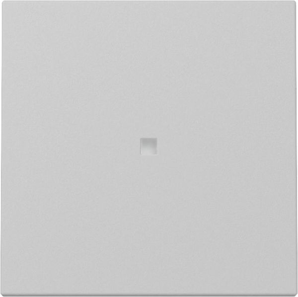 Gira 3290015 Wippe Kontrollf. System 55 Grau m