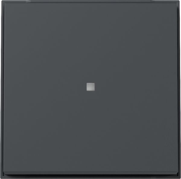 Gira 329067 Wippe Kontrollf. Gira TX_44 (WG UP) Anthrazit