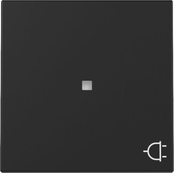 Gira 3291005 Wippe Kontrollf. + Symb. Steckd. System 55 Schwarz m