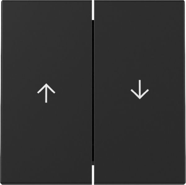 Gira 3294005 Wippe 2f Pfeil System 55 Schwarz m