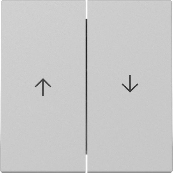 Gira 3294015 Wippe 2f Pfeil System 55 Grau m
