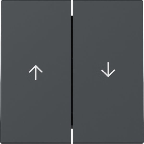 Gira 329428 Wippe 2f Pfeil System 55 Anthrazit
