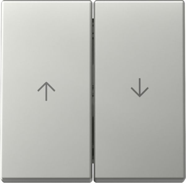 Gira 3294600 Wippe 2f Pfeil System 55 Edelstahl